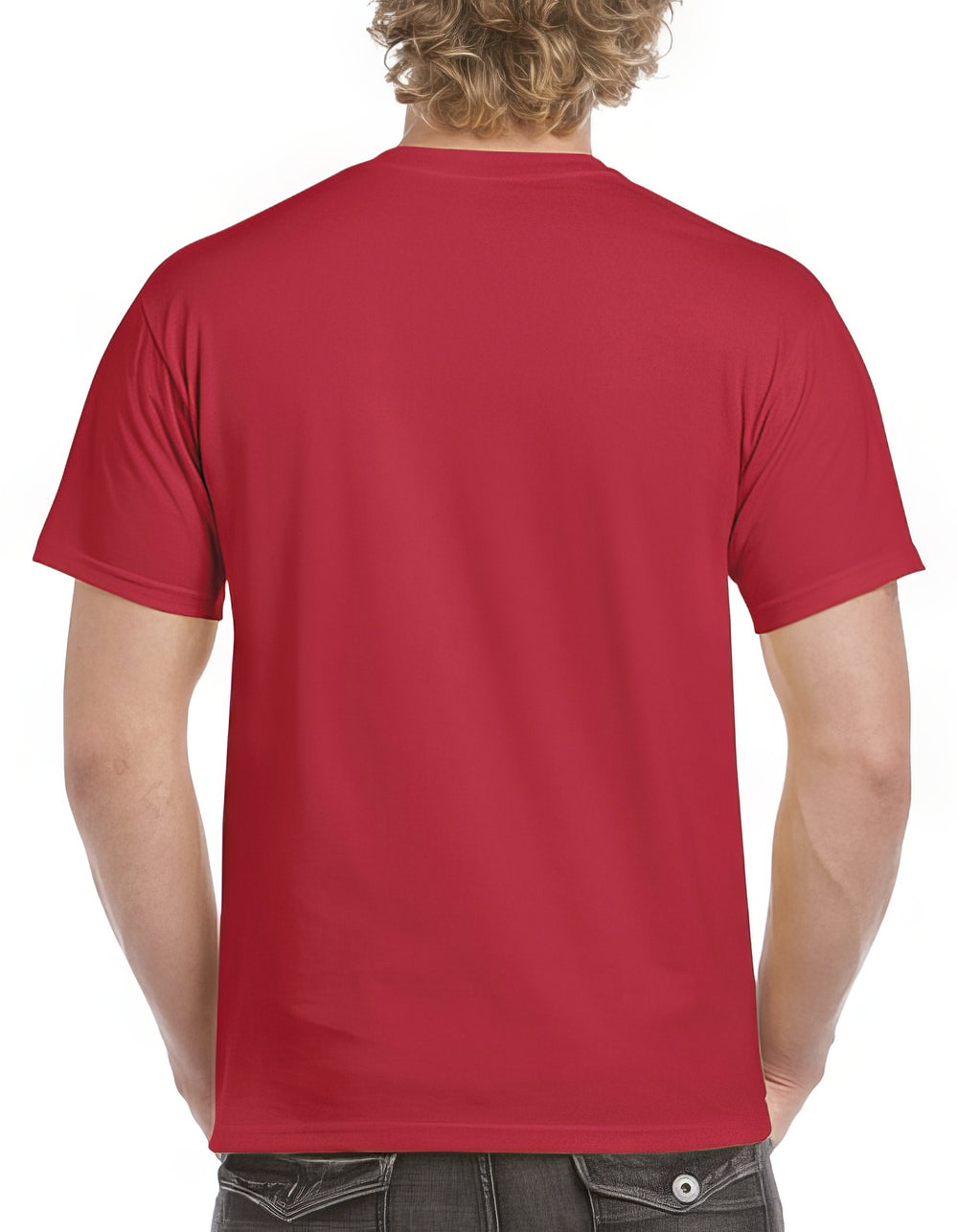 10er Set Heavy Cotton™ Adult T-Shirt